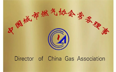 中國城市燃氣協會常務理事